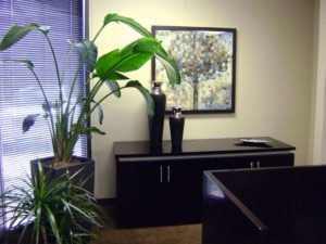 Chiropractic Office Build Out